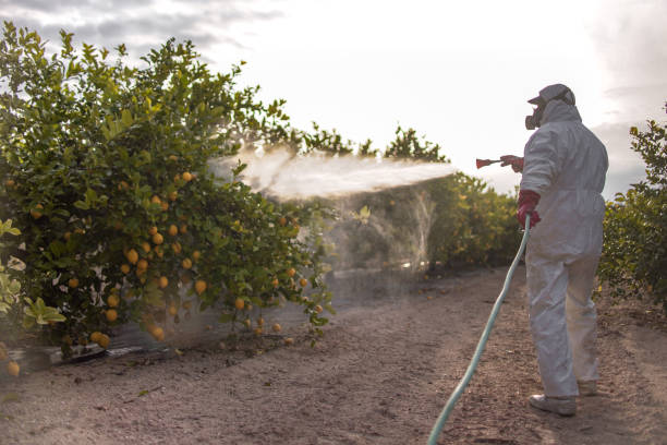 Best Flea Control Services  in Zion, PA