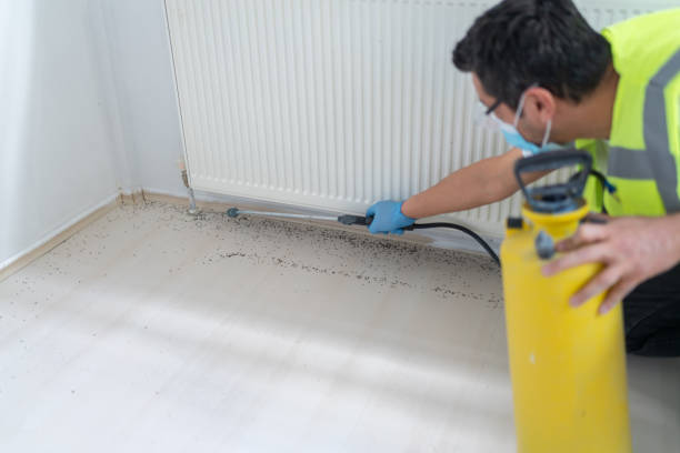 Best Pest Removal Services  in Zion, PA