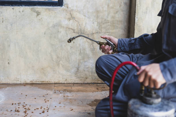 Best Flea Control Services  in Zion, PA